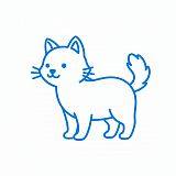 Котики